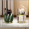Luxury 360° rotating makeup brushes holder with lid