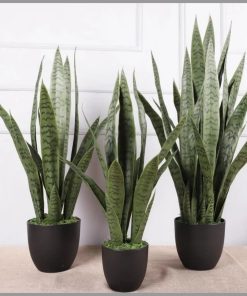 Real touch Green sansevieria ( Snake plant)