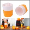 Saft press manual juicer