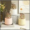 Cosmetic Brush Storage Case 360 Rotating Makeup Brush Holder
