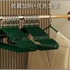 10pcs Metallic hangers