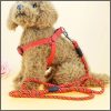 Dog leash / harness with collar