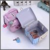 Metallic piggy bank with padlock and 2 keys