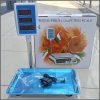 Acs-40 digital price Computing scale