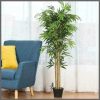 High quality Potted house tree