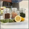6Pcs square glass clip spice jars with wooden base