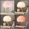 L.E.D Modern Night Feather light