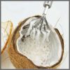 Stainless Steel Coconut Grater