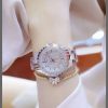 Ladies luxury watch