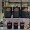 3Pcs Black ceramic cannister