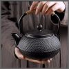 900ml Cast Iron Teapot with infuser