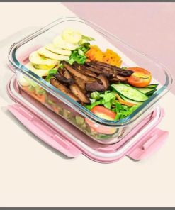 1050ml Double partitioned High borosilicate Glass food container