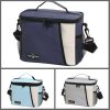 Insulated lunch bag