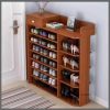 Multi-layer Storage Organizer/ Shoe Rack