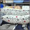 A Pair of fibre  pillows