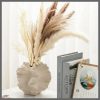Minimalist Art Irregular Decoration White Shell Shape Matte Clay Ceramic Vase