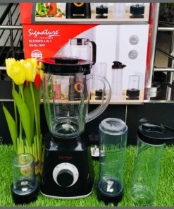 4 in 1 Signature Blender