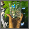 6Pcs Short Glasses