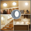 Intelligent induction lamp