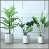 3pcs Flower pot