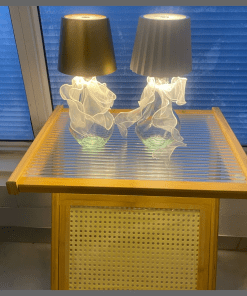 Wireless LED Bottle Lamp with Ribbon