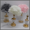 Crystal feather table lamp