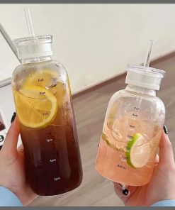 750ml clear high quality borosilicate glass water bottle with straw