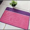 Absorbent Indoor door mats