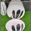 6pcs dinner plates
