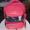 Dolphin kids school backpack
