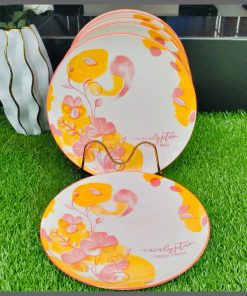 6pcs dinner plates