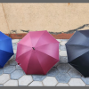 Big Family Size Umbrellas