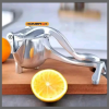 Heavy Manual Juicer Fruit Press